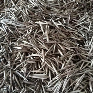 Graines de bambou géant chinois Moso Phyllostachys Edulis pour plante artificielle sur décor de jardin - Product Image 2