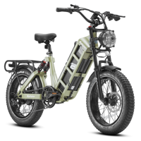 Vélo Électrique Hybride Eahora Juliet, Moteur Personnalisé, 52V 60Ah, Pneus Larges, Vélo Cargo Urbain, Entrepôt UE