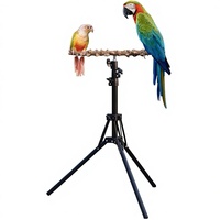 Support télescopique triangulaire en métal et bois pour perroquet, pour l'intérieur et l'extérieur, pour l'entraînement des becs des oiseaux