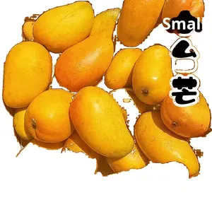 Atacado Sazonal Fresco e Grande Mangas Não-Royal Golden Manges FD Processo Seco De Taichung Agricultores - Product Image 5