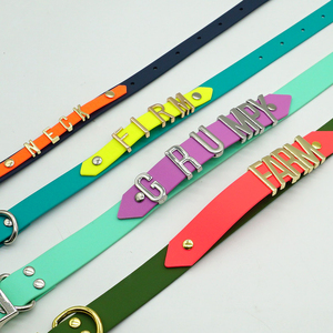 Collar de moda para mascotas en oferta con hebilla de metal con letras, collar de perro personalizado recubierto de PVC, impermeable, para razas pequeñas, medianas y grandes. - Product Image 6