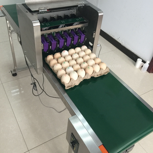 Proveedor Chino de Máquinas Impresoras de Huevos por Inyección de Tinta, Máquinas de Codificación HD, Impresoras de Huevos de Gallina por Inyección de Tinta en Oferta con Precios Económicos - Product Image 2