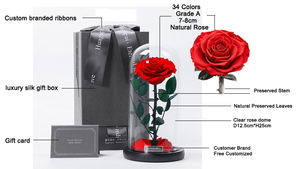 Rosa clásica Flor de la eternidad Las mismas rosas reales frescas conservadas en cúpula de cristal como La Bella y La Bestia Rosa en cristal con caja de regalo - Product Image 3