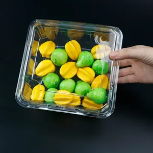 Salat-Clamshell-Schachtel Verpackung einweg-PET-Kunststoffbehälter Salattebehälter Obstverpackungsbehälter