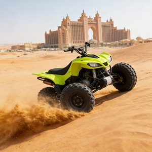 Buggy Cuatro por Cuatro Asequible, Modelo con <span class=keywords><strong>Precio</strong></span> Competitivo que Ofrece Características Todoterreno sin el Alto Costo - Product Image 5