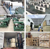 Unité de condensation frigorifique avec compresseur pour réfrigérant R507/R404A, modèle basse température