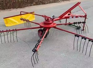 Rastrillo Rotatorio Pequeño con Rueda de Dedos para Esparcir en Pastizales, Maquinaria Agrícola Accionada por Tractor, 260 kg, 1 Año de Garantía - Product Image 2