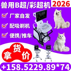 Appareil d'échographie vétérinaire portable Kaier, style ordinateur portable numérique, pour chats, chiens et animaux de compagnie - Product Image 2