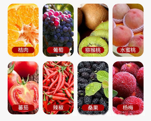 Máquina higiénica de pulpa de fruta confiable de plátano 8kW Máquina de pulpa de fruta de alta calidad para hacer mermelada - Product Image 2