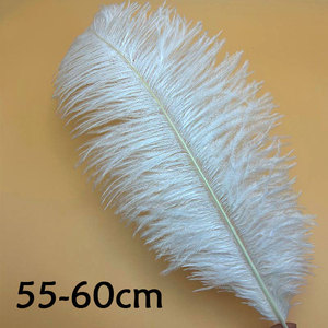 <span class=keywords><strong>Piume</strong></span> di struzzo sfuse in più misure, rosa acceso/verde lime/rosso <span class=keywords><strong>fucsia</strong></span>, per feste di Carnevale e accessori fai da te per capelli - Product Image 5