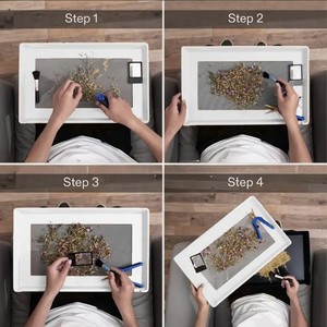 Plateaux de coupe hydroponique pour la récolte du Pollen des bourgeons avec outils de tamisage à sec - Product Image 6