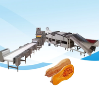 Ligne de production automatique de purée de légumes Machine à fabriquer de la farine de carotte