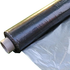 <span class=keywords><strong>Film</strong></span> d'agriculture en argent <span class=keywords><strong>noir</strong></span> avec trous, 1 pièce, fournitures d'usine chinoise - Product Image 2