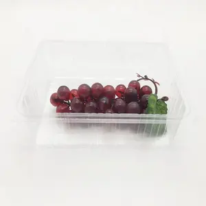 Caixa de bolha para frutas descartáveis de 16 onças, frutas transparentes personalizadas de fábrica, recipiente de plástico com concha de punnet