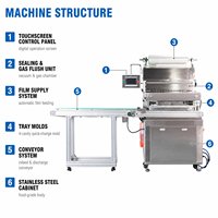 Machine de scellage automatique continue de barquettes en acier inoxydable avec écran tactile pour l'emballage sous vide MAP des produits de la mer