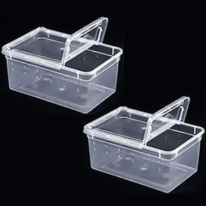 Kit de capture d'insectes pour enfants Little Live Pets : Ferme à fourmis, piège à crapauds, habitat pour grenouilles, terrarium pour tortues et reptiles - Product Image 3