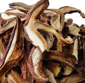 Setas secas salvajes <span class=keywords><strong>Boletus</strong></span> Speciosus Frost <span class=keywords><strong>Boletus</strong></span> Queletiischulz para alimentos - Product Image 2