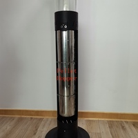 Usine directe carbone neutre extérieur granulés de bois tube de verre chauffage de terrasse respectueux de l'environnement énergie verte chauffage extérieur