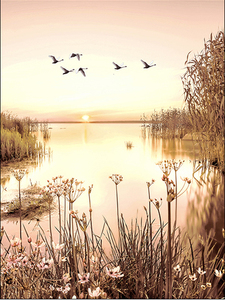 SQ bohême <span class=keywords><strong>paysage</strong></span> peintures toile mur Art décor à la maison Boho <span class=keywords><strong>paysage</strong></span> naturel lac impression peinture sur toile - Product Image 5