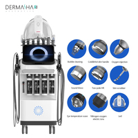 Machine faciale d'hydrodermabrasion 10-en-1 de haute qualité en gros avec prise US compatible et garantie d'un an pour clinique