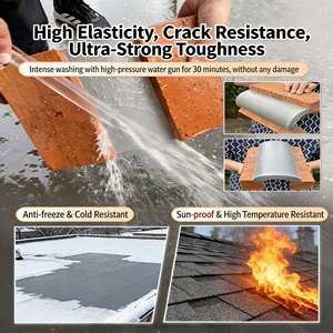 Membrane d'étanchéité liquide en caoutchouc silicone haute performance et durable <span class=keywords><strong>pour</strong></span> la réparation des fuites des toits, des murs, du béton et des bâtiments métalliques - Product Image 3