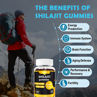 Gummies de Shilajit GMP Halal pour la santé masculine, système immunitaire, Ashwagandha, curcuma, complément de Shilajit, capsules de gomme, résine