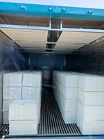 Système de ferme hydroponique en conteneur 40HQ 2025 pour la culture du blé, de l'ail, de l'orge