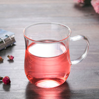 500ml tasse à thé en verre tasse tasses à thé en verre Kits tasses à café tasse transparente avec couvercle infuseur filtre et couvercle pour thé