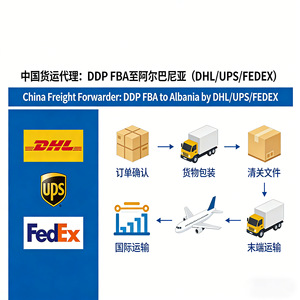 Transitario Internacional Zhonglong DDP FBA a Albania por DHL UPS FEDEX Transporte Aéreo Marítimo Ferroviario Envío Exprés - Product Image 4