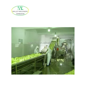 Fabrik versorgungs preis Industrie kohl entwässerung Produktions linie Automatisches Waschen Schneiden zum Trocknen Spinat brokkoli