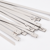 Attaches zippées en acier inoxydable 304 de haute qualité attaches de câble autobloquantes 7.9mm de large 250mm de long 12mm de large Options disponibles