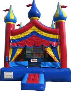 Château gonflable de luxe de qualité commerciale pour enfants, maison de rebond de rêve de cirque pour fête