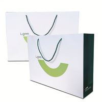 Sac en papier laminé euro rose mat personnalisé logo imprimé personnalisé pour les achats au détail avec oreiller, vaisselle, parapluie
