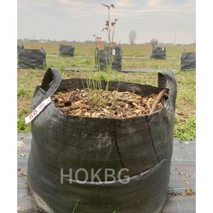 Bolsas <span class=keywords><strong>de</strong></span> <span class=keywords><strong>macetas</strong></span> <span class=keywords><strong>de</strong></span> PP <span class=keywords><strong>de</strong></span> 80 <span class=keywords><strong>litros</strong></span> HOKBG para plantar árboles jóvenes al aire libre, <span class=keywords><strong>macetas</strong></span> y <span class=keywords><strong>macetas</strong></span> <span class=keywords><strong>de</strong></span> 20 galones, bolsas <span class=keywords><strong>de</strong></span> plástico para cultivo <span class=keywords><strong>de</strong></span> plántulas - Product Image 6