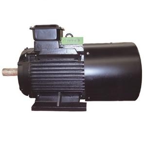 100KW Permanente Magnetische Dynamo, Lage Snelheid Permanente Magneet Motor, Gratis Energie Generator - Product Image 1