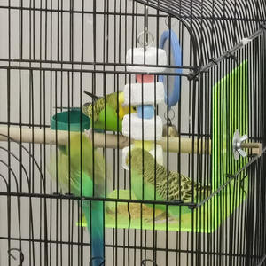 Hot Selling Vijfsterren Vorm Mineraal Slijpen Papegaai Speelgoed Premium Huisdier Calciumsupplement Hamster Beet Belvogel Beet Kauwspeelgoed - Product Image 6