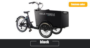 Nouveau tricycle électrique à trois <span class=keywords><strong>roues</strong></span> pour le transport de marchandises, pour la famille - Product Image 6