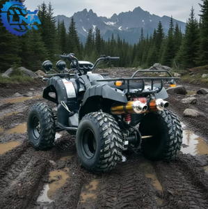 Cuatrimotos chinas <span class=keywords><strong>de</strong></span> 250cc con freno <span class=keywords><strong>de</strong></span> disco hidráulico LNA, construidas para uso diario y <span class=keywords><strong>alquiler</strong></span>. - Product Image 4