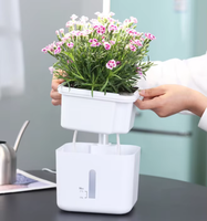 Jardinière aéroponique de bureau à auto-arrosage avec pompe et kit de culture à absorption automatique d'eau