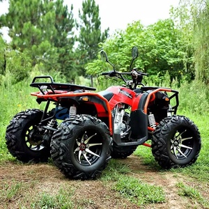 Cuatrimotos de Alta Velocidad con Tracción en las 4 Ruedas, <span class=keywords><strong>250cc</strong></span>, Automáticos, con Transmisión por Cadena, para Adultos, Todoterreno, con Doble Freno de Disco, Tracción por Eje, en Oferta - Product Image 6