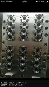 चीन निर्माता अनुकूलित बोतल उड़ाने molds पीईटी पहिले मोल्ड - Product Image 4