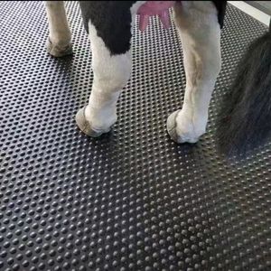 Lámina de Goma Antideslizante Negra para Ganadería, Alfombra Absorbente de Impactos para Piso de Corrales de Cerdos, Alfombra para Establos de Ganado, Colchón para Lechones - Product Image 4