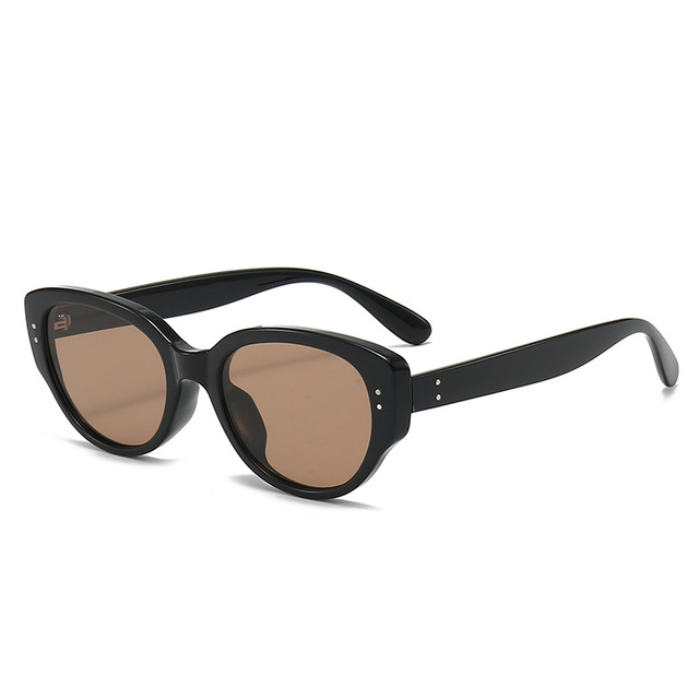 Fashion Unisex Vintage Designer Cat Eye Sunglasses TAC Lenses TR90 Frame UV400 Protection