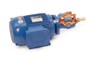 Pompa a ingranaggi volumetrica monoblocco di alta qualità modello BMF trasferimento di liquidi lubrificanti in ghisa 1,1 kW 35 L/min - Product Image 3