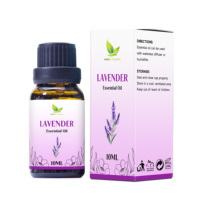 Huile essentielle pure de plantes OEM d'usine 10 ml, écologique, diffuseur d'arômes, huile parfumée pour le sommeil et le spa, bougie en vrac