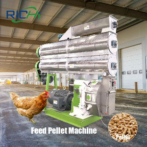 Richi CE chứng nhận 8-10t/h hạt gà Nguồn cấp dữ liệu máy làm - Product Image 1