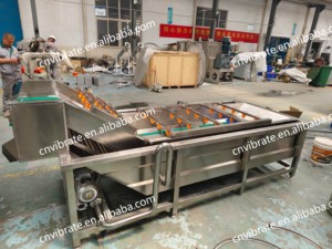 Laveuse industrielle VBJX pour légumes (feuilles, pommes <span class=keywords><strong>de</strong></span> <span class=keywords><strong>terre</strong></span>, carottes, mangues, tomates, piments) - Product Image 3