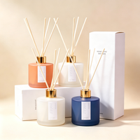 Diffuseur de parfum d'ambiance en verre dépoli pour la maison, design sans flamme sûr, adapté aux enfants et aux animaux domestiques, vente en gros