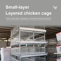 Nouvelles cages à poulets automatiques en acier galvanisé de type H Linchuan pour l'élevage avicole avec une durée de vie de 15 à 20 ans