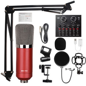 Equipo de <span class=keywords><strong>audio</strong></span> profesional de alta calidad BMG, equipo de grabación de <span class=keywords><strong>audio</strong></span> adecuado para micrófonos KTV - Product Image 4